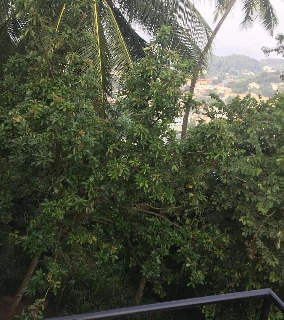 Upland Inn Kandy 0*,